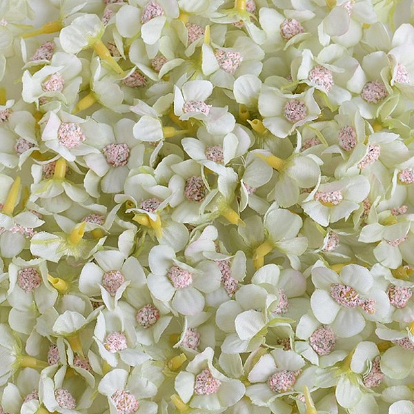 PandaHall Silk Artificial Flower, for DIY Wedding Party Garland Decoration, Light Green, 23x23x16mm Cloth Flower
PandaHall Silk Artificial Flower, for DIY Wedding Party Garland Decoration, Light Green, 23x23x16mm Cloth Flower