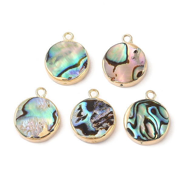 PandaHall Natural Paua Shell Pendants, Flat Round Charms with Brass Edge, Golden, 18x14.5x3~4mm, Hole: 1.8mm Paua Shell Flat Round
PandaHall Natural Paua Shell Pendants, Flat Round Charms with Brass Edge, Golden, 18x14.5x3~4mm, Hole: 1.8mm Paua Shell Flat Round