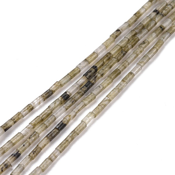 PandaHall Natural Labradorite Beads Strands, Undyed, Column, 3.8~4.3x2.4mm, Hole: 0.9mm, about 87pcs/strand, 14.88~15.12 inch(37.8~38.4cm)...
PandaHall Natural Labradorite Beads Strands, Undyed, Column, 3.8~4.3x2.4mm, Hole: 0.9mm, about 87pcs/strand, 14.88~15.12 inch(37.8~38.4cm)...