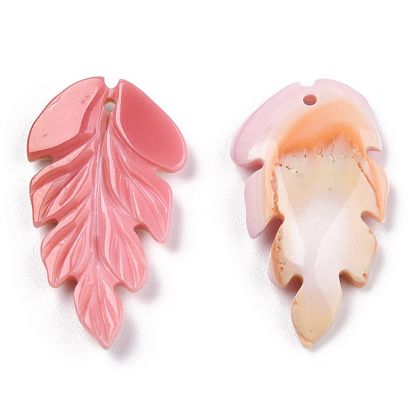 PandaHall Natural Pink Shell Pendants, Feather Charm, 24.5x14x3mm, Hole: 1mm Pink Shell Feather Pink
PandaHall Natural Pink Shell Pendants, Feather Charm, 24.5x14x3mm, Hole: 1mm Pink Shell Feather Pink