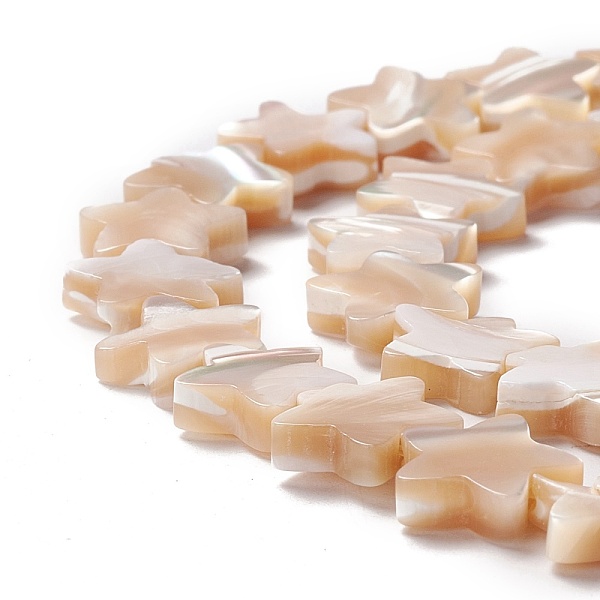 PandaHall Natural Trochid Shell/Trochus Shell Beads, Star, Navajo White, 10x11x2.5~3mm, Hole: 0.8mm, about 46pcs/strand, 15.91 inch(40.4cm)...
PandaHall Natural Trochid Shell/Trochus Shell Beads, Star, Navajo White, 10x11x2.5~3mm, Hole: 0.8mm, about 46pcs/strand, 15.91 inch(40.4cm)...