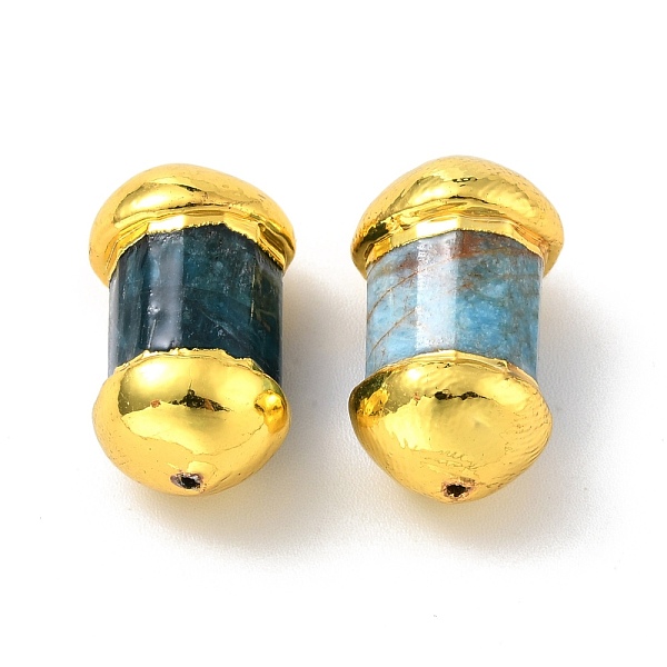 PandaHall Natural Apatite Beads, with Golden Tone Brass Findings, Lead Free & Cadmium Free, Bicone, 19.5~21x11~12x9~12mm, Hole: 1mm Apatite...
PandaHall Natural Apatite Beads, with Golden Tone Brass Findings, Lead Free & Cadmium Free, Bicone, 19.5~21x11~12x9~12mm, Hole: 1mm Apatite...
