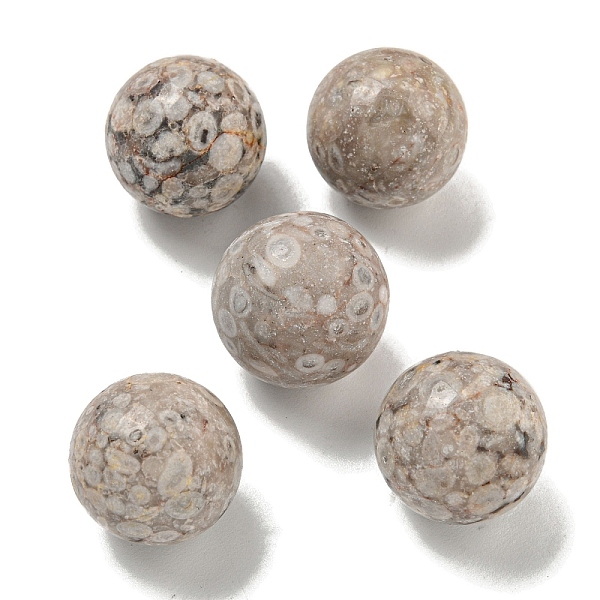 PandaHall Natural Maifanite Round Ball Figurines Statues for Home Office Desktop Decoration, 20mm Maifanite Round
PandaHall Natural Maifanite Round Ball Figurines Statues for Home Office Desktop Decoration, 20mm Maifanite Round