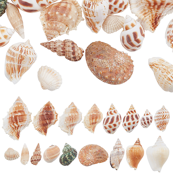 PandaHall SUPERFINDINGS 37Pcs Conch & Shell Ornaments, for Vase Filler, Beach Theme Party, DIY Craft, Wedding Decor, Mixed Color..., Multicolor
PandaHall SUPERFINDINGS 37Pcs Conch & Shell Ornaments, for Vase Filler, Beach Theme Party, DIY Craft, Wedding Decor, Mixed Color..., Multicolor
