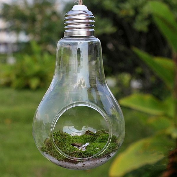 PandaHall Bulb Shape Hanging Glass Planter, Terrarium Container Vase for Indoor Hydroponic Plants Home Office Garden Decor, Clear, 80x140mm...
PandaHall Bulb Shape Hanging Glass Planter, Terrarium Container Vase for Indoor Hydroponic Plants Home Office Garden Decor, Clear, 80x140mm...