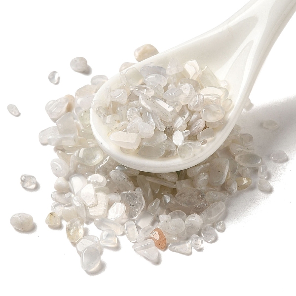 PandaHall Natural White Moonstone Beads, No Hole Beads, Chip Beads, 2.5~9x2~4mm White Moonstone Chip
PandaHall Natural White Moonstone Beads, No Hole Beads, Chip Beads, 2.5~9x2~4mm White Moonstone Chip