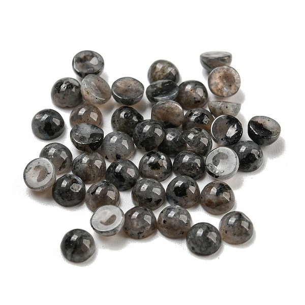 PandaHall Natural Labradorite Cabochons, Half Round, 4x2~2.5mm Labradorite Half Round
PandaHall Natural Labradorite Cabochons, Half Round, 4x2~2.5mm Labradorite Half Round