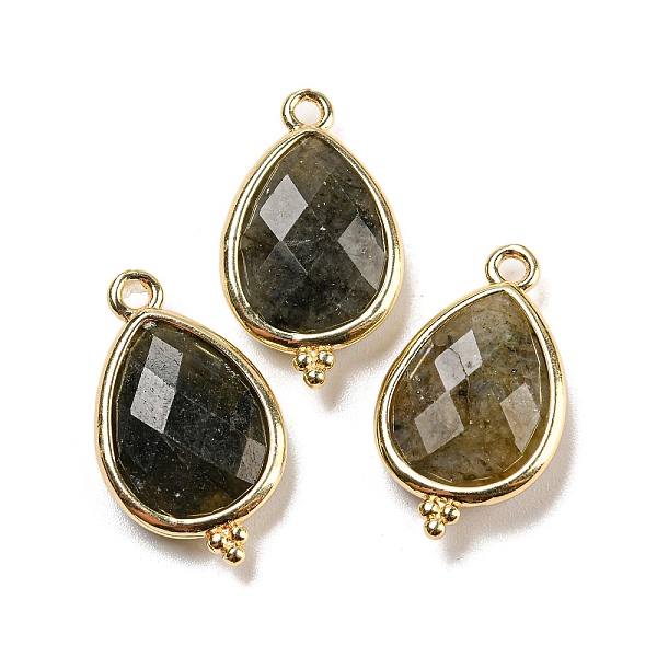 PandaHall Natural Labradorite Faceted Pendants, Rack Plating Golden Plated Brass Teardrop Charms, 21x12x5mm, Hole: 1.6mm Labradorite...
PandaHall Natural Labradorite Faceted Pendants, Rack Plating Golden Plated Brass Teardrop Charms, 21x12x5mm, Hole: 1.6mm Labradorite...