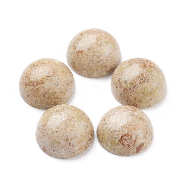 PandaHall Natural Sesame Jasper Cabochons, Half Round, 22x11.5mm Sesame Jasper Half Round
PandaHall Natural Sesame Jasper Cabochons, Half Round, 22x11.5mm Sesame Jasper Half Round