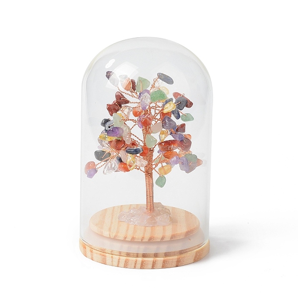 PandaHall Natural Gemstone Chips Money Tree in Dome Glass Bell Jars with Wood Base Display Decorations, for Home Office Decor Good Luck...
PandaHall Natural Gemstone Chips Money Tree in Dome Glass Bell Jars with Wood Base Display Decorations, for Home Office Decor Good Luck...