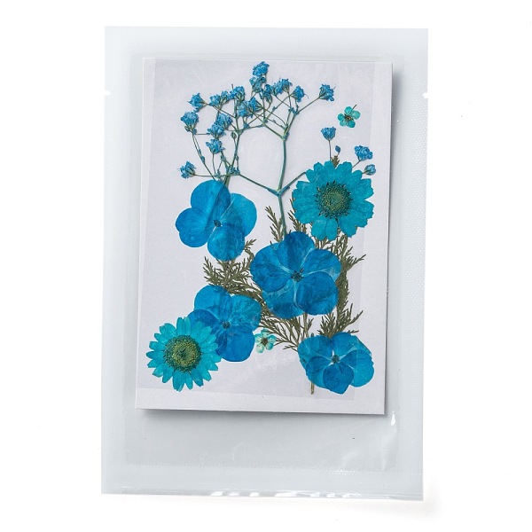 PandaHall Pressed Dried Flowers, for Cellphone, Photo Frame, Scrapbooking DIY and Resin Art Floral Decors, 120x85x0.3mm Dried Flower Flower
PandaHall Pressed Dried Flowers, for Cellphone, Photo Frame, Scrapbooking DIY and Resin Art Floral Decors, 120x85x0.3mm Dried Flower Flower
