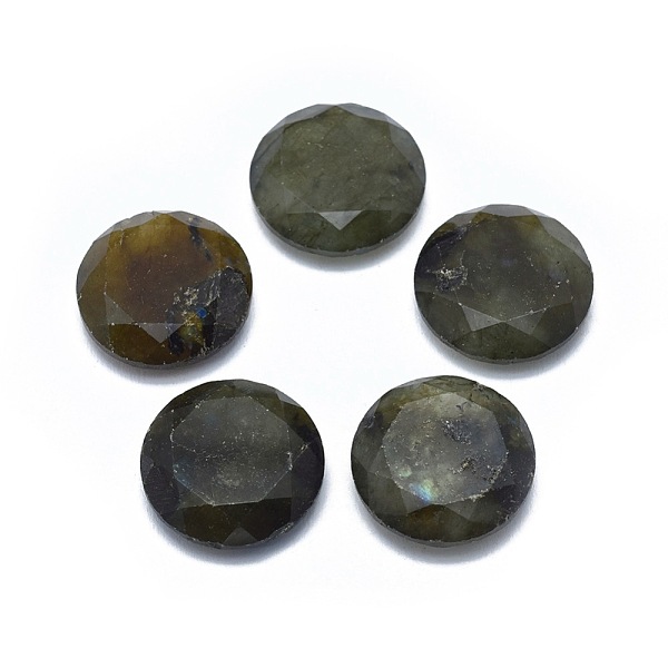 PandaHall Natural Labradorite Cabochons, Flat Round, Faceted, 15.5~16x5mm Labradorite Flat Round
PandaHall Natural Labradorite Cabochons, Flat Round, Faceted, 15.5~16x5mm Labradorite Flat Round