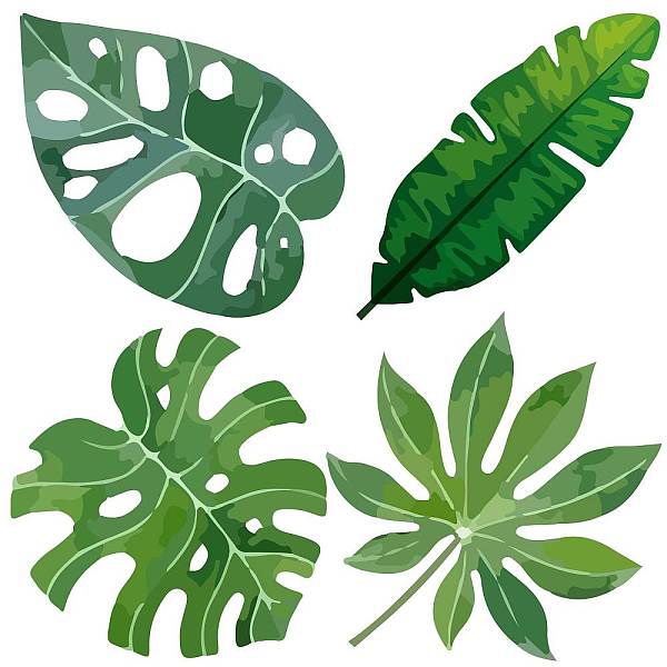PandaHall PVC Window Sticker, Flat Round Shape, for Window or Stairway Home Decoration, Leaf, 160x0.3mm, 4 styles, 1pc/style, 4pcs/set PVC...
PandaHall PVC Window Sticker, Flat Round Shape, for Window or Stairway Home Decoration, Leaf, 160x0.3mm, 4 styles, 1pc/style, 4pcs/set PVC...