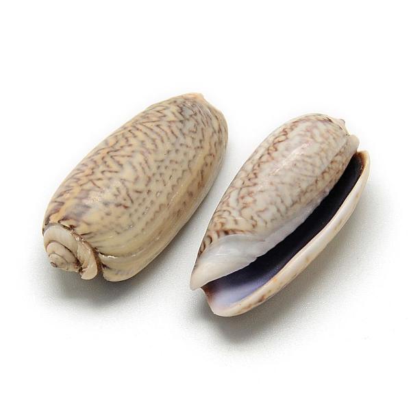 PandaHall Spiral Shell Beads, No Hole, Natural Color, 26~35x11~16x10~13mm, about 165pcs/500g Spiral Shell Shell Shape Brown
PandaHall Spiral Shell Beads, No Hole, Natural Color, 26~35x11~16x10~13mm, about 165pcs/500g Spiral Shell Shell Shape Brown