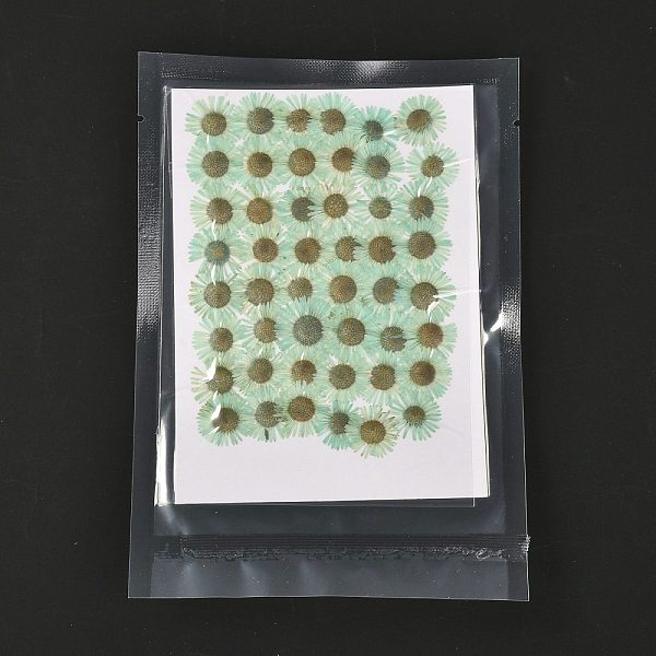 PandaHall Centaurea Iberica Embossing Dried Flower, for Cellphone, Photo Frame, Scrapbooking DIY Handmade Craft, Pale Green, 13~19x17~22mm...
PandaHall Centaurea Iberica Embossing Dried Flower, for Cellphone, Photo Frame, Scrapbooking DIY Handmade Craft, Pale Green, 13~19x17~22mm...