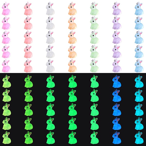 PandaHall 70Pcs 7 Colors Luminous Transparent Resin Pendants, Rabbit Charm, Glow in the Dark, with Platinum Tone 304 Stainless Steel Loops..., Multicolor
PandaHall 70Pcs 7 Colors Luminous Transparent Resin Pendants, Rabbit Charm, Glow in the Dark, with Platinum Tone 304 Stainless Steel Loops..., Multicolor