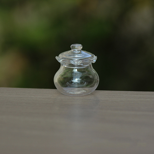 PandaHall Mini Glass Jar, Micro Landscape Dollhouse Accessories, Pretending Prop Decorations, Clear, 25mm Glass Others Clear
PandaHall Mini Glass Jar, Micro Landscape Dollhouse Accessories, Pretending Prop Decorations, Clear, 25mm Glass Others Clear