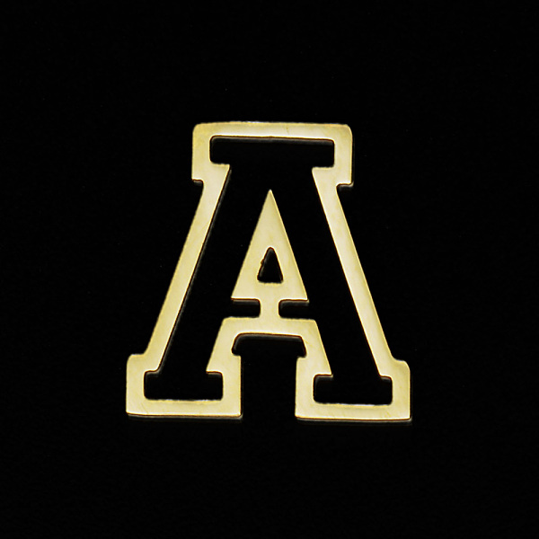 PandaHall Vacuum Plating 201 Stainless Steel Charms, Laser Cut, Letter, No Hole, Letter.A, 12x11x1mm 201 Stainless Steel Letter A
PandaHall Vacuum Plating 201 Stainless Steel Charms, Laser Cut, Letter, No Hole, Letter.A, 12x11x1mm 201 Stainless Steel Letter A