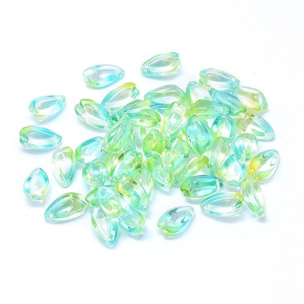 PandaHall Transparent Glass Charms, Teardrop Shaped Petal, Two Tone, Light Green, 13x8x5.5mm, Hole: 1.2mm Glass Flower Green
PandaHall Transparent Glass Charms, Teardrop Shaped Petal, Two Tone, Light Green, 13x8x5.5mm, Hole: 1.2mm Glass Flower Green