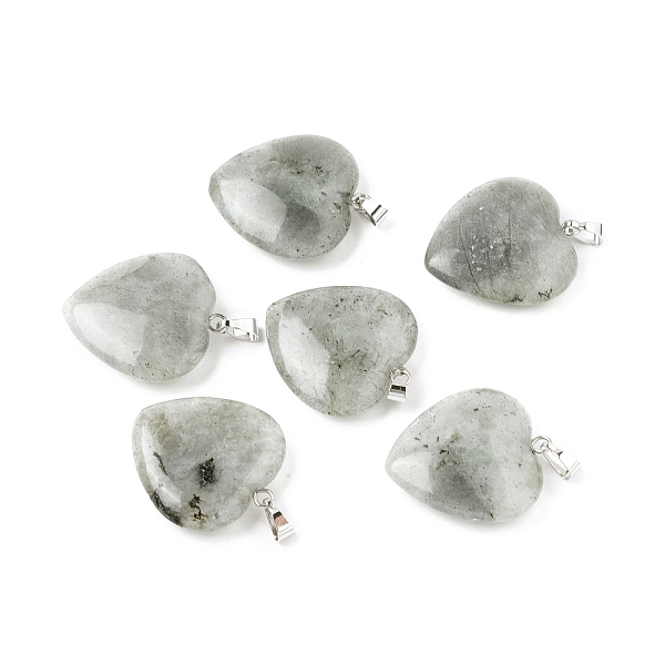 PandaHall Natural Labradorite Pendants, with Platinum Tone Brass Findings, Heart, 27~28x24.5~26x6~8.5mm, Hole: 2.4x5.6mm Labradorite Heart
PandaHall Natural Labradorite Pendants, with Platinum Tone Brass Findings, Heart, 27~28x24.5~26x6~8.5mm, Hole: 2.4x5.6mm Labradorite Heart