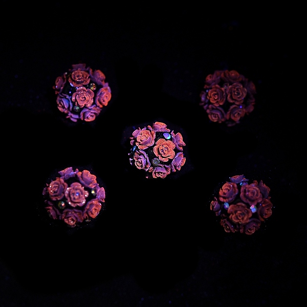 PandaHall Acrylic Handmade Polymer Clay Rhinestone Beads, Flower, Dark Khaki, 20mm, Hole: 1.8mm Acrylic Flower
PandaHall Acrylic Handmade Polymer Clay Rhinestone Beads, Flower, Dark Khaki, 20mm, Hole: 1.8mm Acrylic Flower