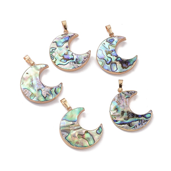 PandaHall Natural Abalone Shell/Paua Shell Pendants, with Golden Plated Brass Findings, Moon, 33.5x22x3.8mm, Hole: 7.5x5mm Paua Shell Moon
PandaHall Natural Abalone Shell/Paua Shell Pendants, with Golden Plated Brass Findings, Moon, 33.5x22x3.8mm, Hole: 7.5x5mm Paua Shell Moon