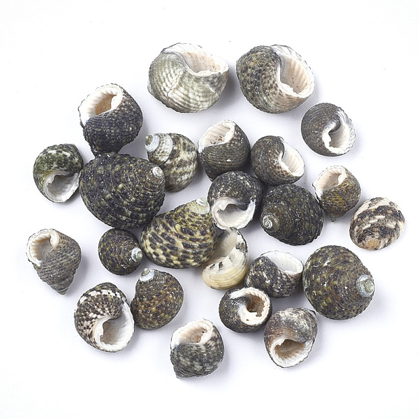 PandaHall Conch Shell Beads, Undrilled/No Hole Beads, Black, 12~22x11~18x10~17mm Spiral Shell Others Black
PandaHall Conch Shell Beads, Undrilled/No Hole Beads, Black, 12~22x11~18x10~17mm Spiral Shell Others Black