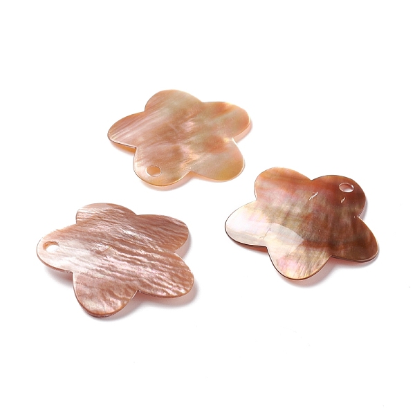 PandaHall Sea Shell Pendants, Flower, Sandy Brown, 33x35x2mm, Hole: 3mm Shell Flower
PandaHall Sea Shell Pendants, Flower, Sandy Brown, 33x35x2mm, Hole: 3mm Shell Flower