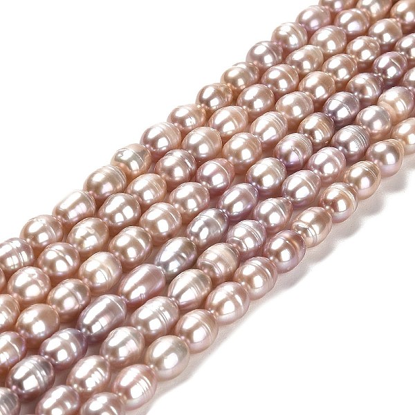 PandaHall Natural Cultured Freshwater Pearl Beads Strands, Rice, Grade AA, Dark Salmon, 7~8x6~6.5mm, Hole: 0.7mm, about 45pcs/strand...
PandaHall Natural Cultured Freshwater Pearl Beads Strands, Rice, Grade AA, Dark Salmon, 7~8x6~6.5mm, Hole: 0.7mm, about 45pcs/strand...