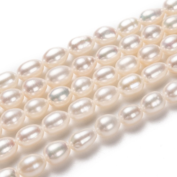 PandaHall Natural Cultured Freshwater Pearl Beads Strands, Rice, Bisque, 7~8x6mm, Hole: 0.7mm, about 50pcs/strand, 15.35 inch(39cm) Pearl..., Orange
PandaHall Natural Cultured Freshwater Pearl Beads Strands, Rice, Bisque, 7~8x6mm, Hole: 0.7mm, about 50pcs/strand, 15.35 inch(39cm) Pearl..., Orange