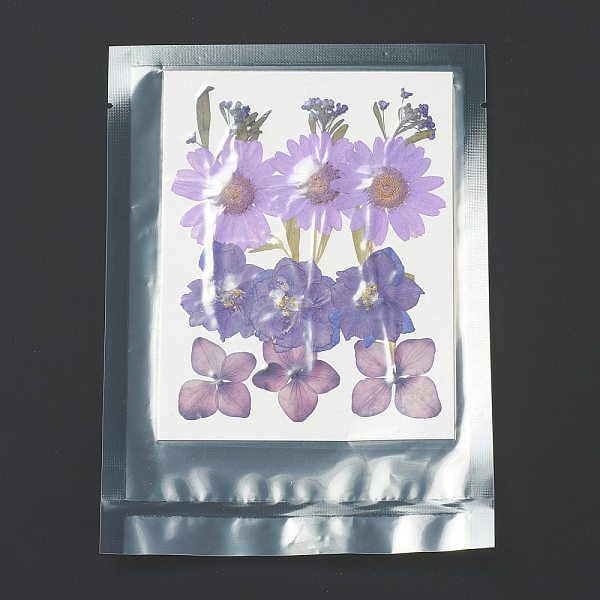 PandaHall Pressed Dried Flowers, for Cellphone, Photo Frame, Scrapbooking DIY and Resin Art Floral Decors, Flower Pattern, 130x100x0.8mm...
PandaHall Pressed Dried Flowers, for Cellphone, Photo Frame, Scrapbooking DIY and Resin Art Floral Decors, Flower Pattern, 130x100x0.8mm...