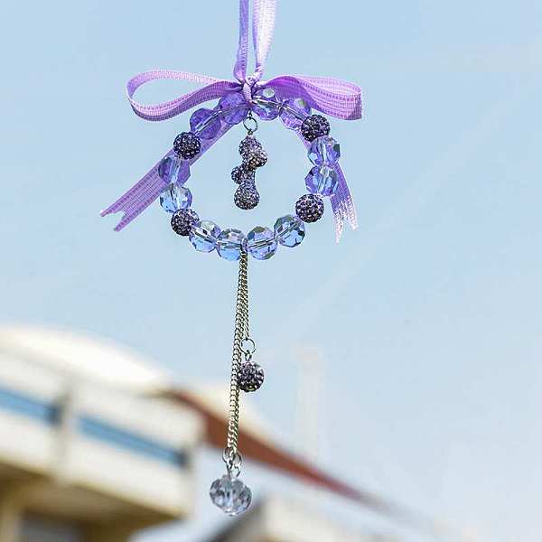 PandaHall Bowknot & Ring & Ball Tassel Glass Rhinestone Pendant Decorations, for Interior Car Mirror Hanging Decorations, Dark Orchid, 154mm...
PandaHall Bowknot & Ring & Ball Tassel Glass Rhinestone Pendant Decorations, for Interior Car Mirror Hanging Decorations, Dark Orchid, 154mm...