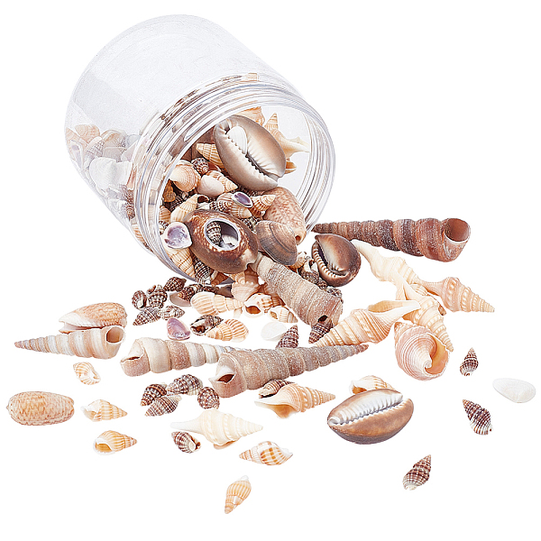 PandaHall 105G 7 Styles Shell Sets, Including Natural Spiral Shell & Cowrie Shell & Sea Shell Beads, DIY Craft Home Decoration Making..., Multicolor
PandaHall 105G 7 Styles Shell Sets, Including Natural Spiral Shell & Cowrie Shell & Sea Shell Beads, DIY Craft Home Decoration Making..., Multicolor