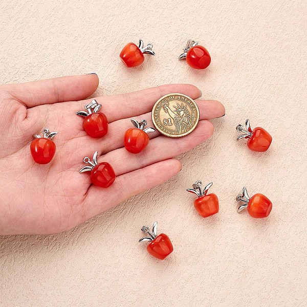 PandaHall 10Pcs Apple Gemstone Charm Pendant Crystal Quartz Healing Natural Stone Pendants Pink Silver Buckle for Jewelry Necklace Earring..., Red
PandaHall 10Pcs Apple Gemstone Charm Pendant Crystal Quartz Healing Natural Stone Pendants Pink Silver Buckle for Jewelry Necklace Earring..., Red
