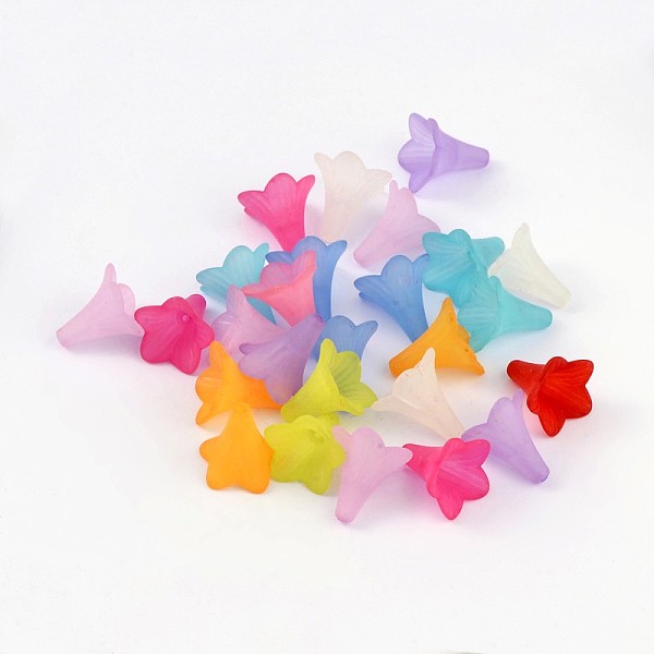 PandaHall Transparent Acrylic Beads, Frosted Style, Petunia, Mixed Color, 22x22mm, Hole: 2mm, about 344pcs/500g Acrylic Flower Multicolor
PandaHall Transparent Acrylic Beads, Frosted Style, Petunia, Mixed Color, 22x22mm, Hole: 2mm, about 344pcs/500g Acrylic Flower Multicolor