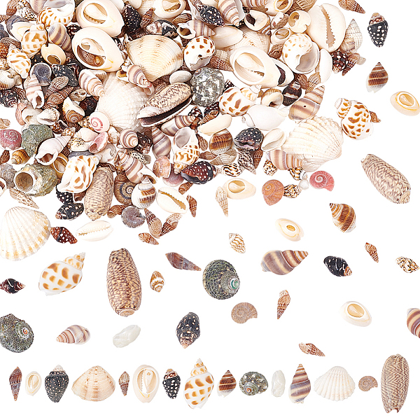 PandaHall 15 Styles Natural Shell Display Decorations, for DIY Craft, Jewelry Making, Home/Party Decoration, Mixed Color..., Multicolor
PandaHall 15 Styles Natural Shell Display Decorations, for DIY Craft, Jewelry Making, Home/Party Decoration, Mixed Color..., Multicolor