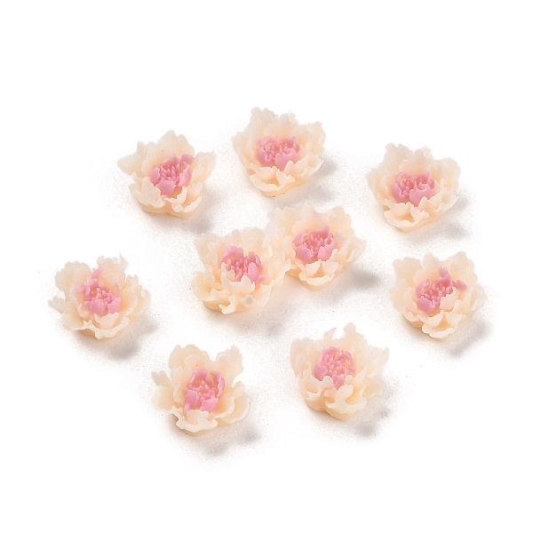 PandaHall Luminous Resin Decoden Cabochons, Glow in the Dark Flower, Sienna, 9.5x9.5x5mm Resin Flower Brown
PandaHall Luminous Resin Decoden Cabochons, Glow in the Dark Flower, Sienna, 9.5x9.5x5mm Resin Flower Brown