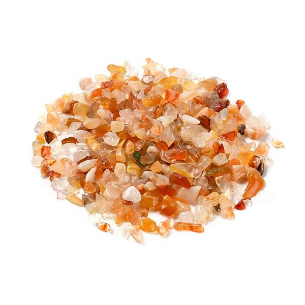 PandaHall Natural Carnelian Chip Beads, No Hole/Undrilled, Dyed & Heated, 2~8x2~4mm, about 8500pcs/500g Carnelian Chip
PandaHall Natural Carnelian Chip Beads, No Hole/Undrilled, Dyed & Heated, 2~8x2~4mm, about 8500pcs/500g Carnelian Chip