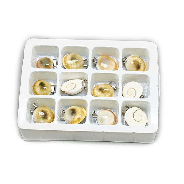 PandaHall Freshwater Shell Pendants, with Stainless Steel Snap On Bails, 20~25x15~20x6~7mm, Hole: 7x4mm, 12pcs/box Freshwater Shell Shell...
PandaHall Freshwater Shell Pendants, with Stainless Steel Snap On Bails, 20~25x15~20x6~7mm, Hole: 7x4mm, 12pcs/box Freshwater Shell Shell...