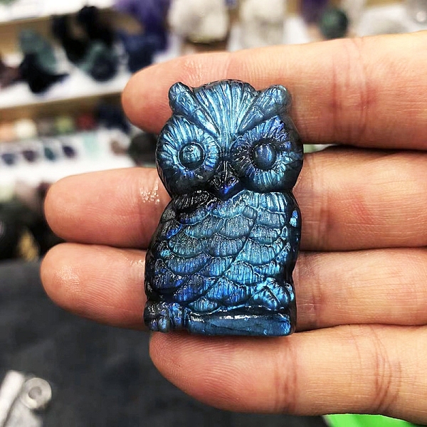 PandaHall Dyed Natural Labradorite Carved Display Decorations, Figurine Home Decoration, Reiki Energy Stone for Healing, Owl, 44x25x10mm...
PandaHall Dyed Natural Labradorite Carved Display Decorations, Figurine Home Decoration, Reiki Energy Stone for Healing, Owl, 44x25x10mm...