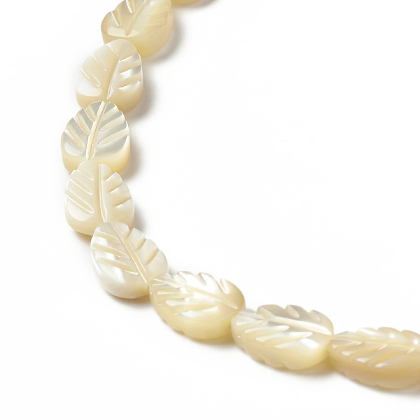 PandaHall Natural Trochid Shell/Trochus Shell Beads Strands, Leaf, Beige, 8~9.5x6.5x3.2mm, Hole: 0.9mm, about 43pcs/strand, 15.94 inch..., Yellow
PandaHall Natural Trochid Shell/Trochus Shell Beads Strands, Leaf, Beige, 8~9.5x6.5x3.2mm, Hole: 0.9mm, about 43pcs/strand, 15.94 inch..., Yellow