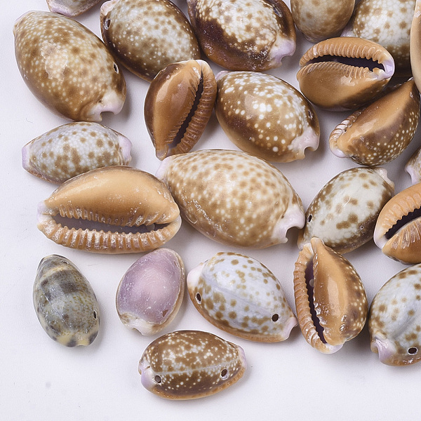 PandaHall Natural Cowrie Shell Links connectors, Camel, 16~28x11~17x8~14mm, Hole: 1~1.5mm Shell Shell Shape Brown
PandaHall Natural Cowrie Shell Links connectors, Camel, 16~28x11~17x8~14mm, Hole: 1~1.5mm Shell Shell Shape Brown