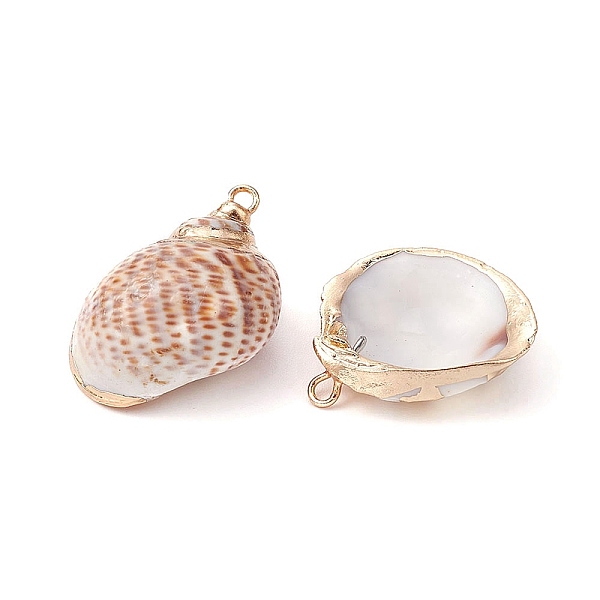 PandaHall 6Pcs 6 Styles Electroplated Natural Spiral Shell Pendants, Shell Charms with Golden Plated Iron Loops, Seashell Color...
PandaHall 6Pcs 6 Styles Electroplated Natural Spiral Shell Pendants, Shell Charms with Golden Plated Iron Loops, Seashell Color...