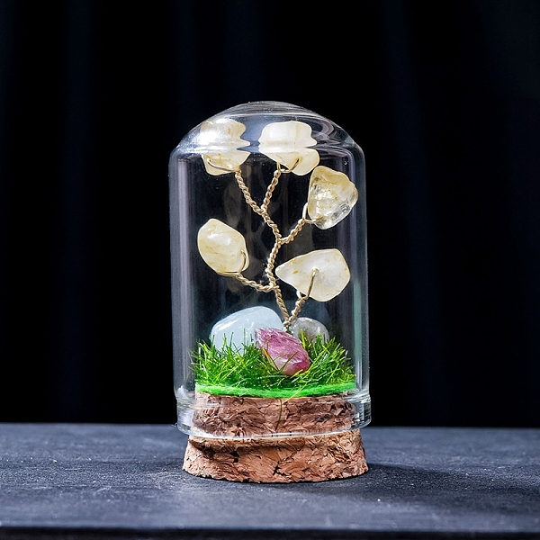 PandaHall Natural Topaz Jade Display Decorations, Miniature Plants, with Glass Cloche Bell Jar Terrarium and Cork Base, Tree, 30x57mm Topaz...
PandaHall Natural Topaz Jade Display Decorations, Miniature Plants, with Glass Cloche Bell Jar Terrarium and Cork Base, Tree, 30x57mm Topaz...