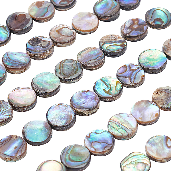 PandaHall BENECREAT Natural Abalone Shell/Paua Shell Beads Strands, Flat Round, Colorful, 10x3.5mm, Hole: 0.8mm, about 40pcs/strand, 16 inch...
PandaHall BENECREAT Natural Abalone Shell/Paua Shell Beads Strands, Flat Round, Colorful, 10x3.5mm, Hole: 0.8mm, about 40pcs/strand, 16 inch...