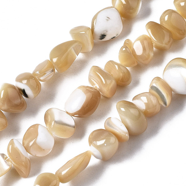 PandaHall Natural Trochid Shell/Trochus Shell Beads Strands, Nuggets Chips, 3.5~13x6~12x3~8mm, Hole: 0.9mm, about 68~73pcs/strand, 15.35...
PandaHall Natural Trochid Shell/Trochus Shell Beads Strands, Nuggets Chips, 3.5~13x6~12x3~8mm, Hole: 0.9mm, about 68~73pcs/strand, 15.35...