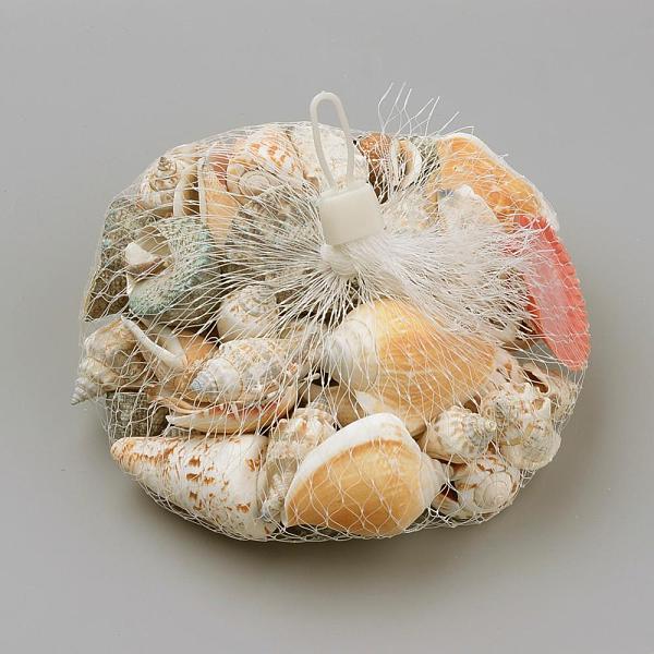 PandaHall Natural Sea Shell Beads, Mixed Style, Mixed Color, 35~60x15~55x5~45mm Other Sea Shell Mixed Shapes Multicolor
PandaHall Natural Sea Shell Beads, Mixed Style, Mixed Color, 35~60x15~55x5~45mm Other Sea Shell Mixed Shapes Multicolor