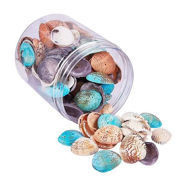 PandaHall Dyed Natural Shell Beads, Mixed Color, 32~37x20~29x8~10mm, Hole: 1mm, about 100~120pcs/box Other Sea Shell Shell Shape Multicolor
PandaHall Dyed Natural Shell Beads, Mixed Color, 32~37x20~29x8~10mm, Hole: 1mm, about 100~120pcs/box Other Sea Shell Shell Shape Multicolor