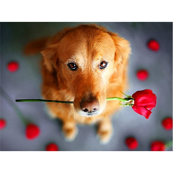 PandaHall Cute Puppy DIY Diamond Painting Kit, Including Resin Rhinestones Bag, Diamond Sticky Pen, Tray Plate and Glue Clay, Red, 400x300mm...
PandaHall Cute Puppy DIY Diamond Painting Kit, Including Resin Rhinestones Bag, Diamond Sticky Pen, Tray Plate and Glue Clay, Red, 400x300mm...