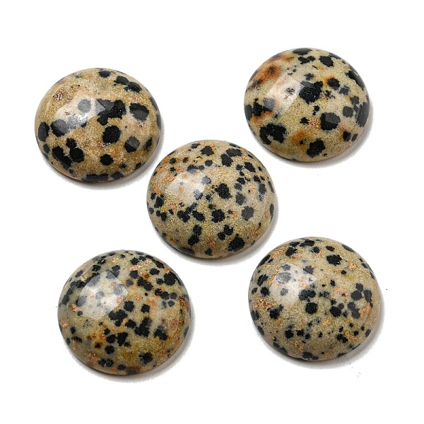 PandaHall Natural Dalmatian Jasper Cabochons, Flat Round, 20~21.5x6~8mm Dalmatian Jasper Flat Round
PandaHall Natural Dalmatian Jasper Cabochons, Flat Round, 20~21.5x6~8mm Dalmatian Jasper Flat Round